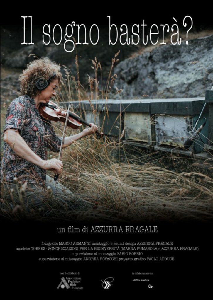 Il sogno basterà