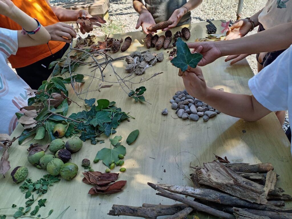 centri estivi COSMO Lumen 2026 (1)
