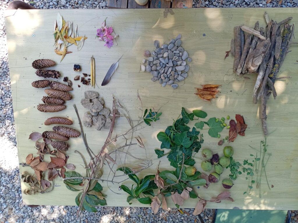 centri estivi COSMO Lumen 2026 (2)