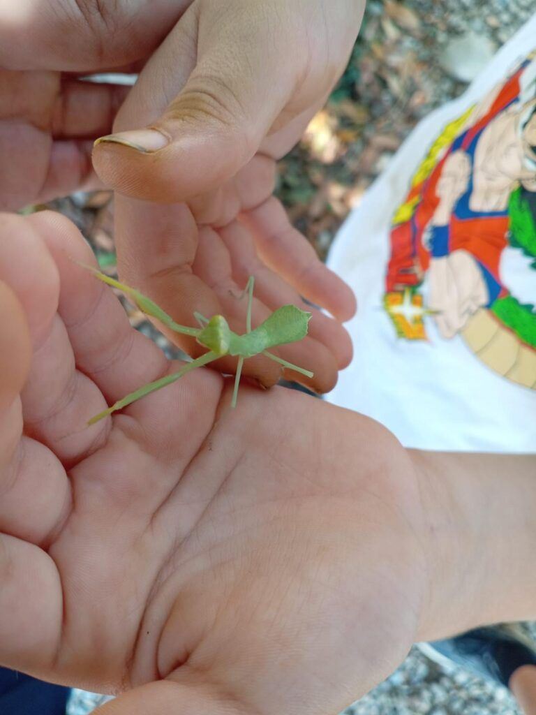 centri estivi COSMO Lumen 2026 (3)