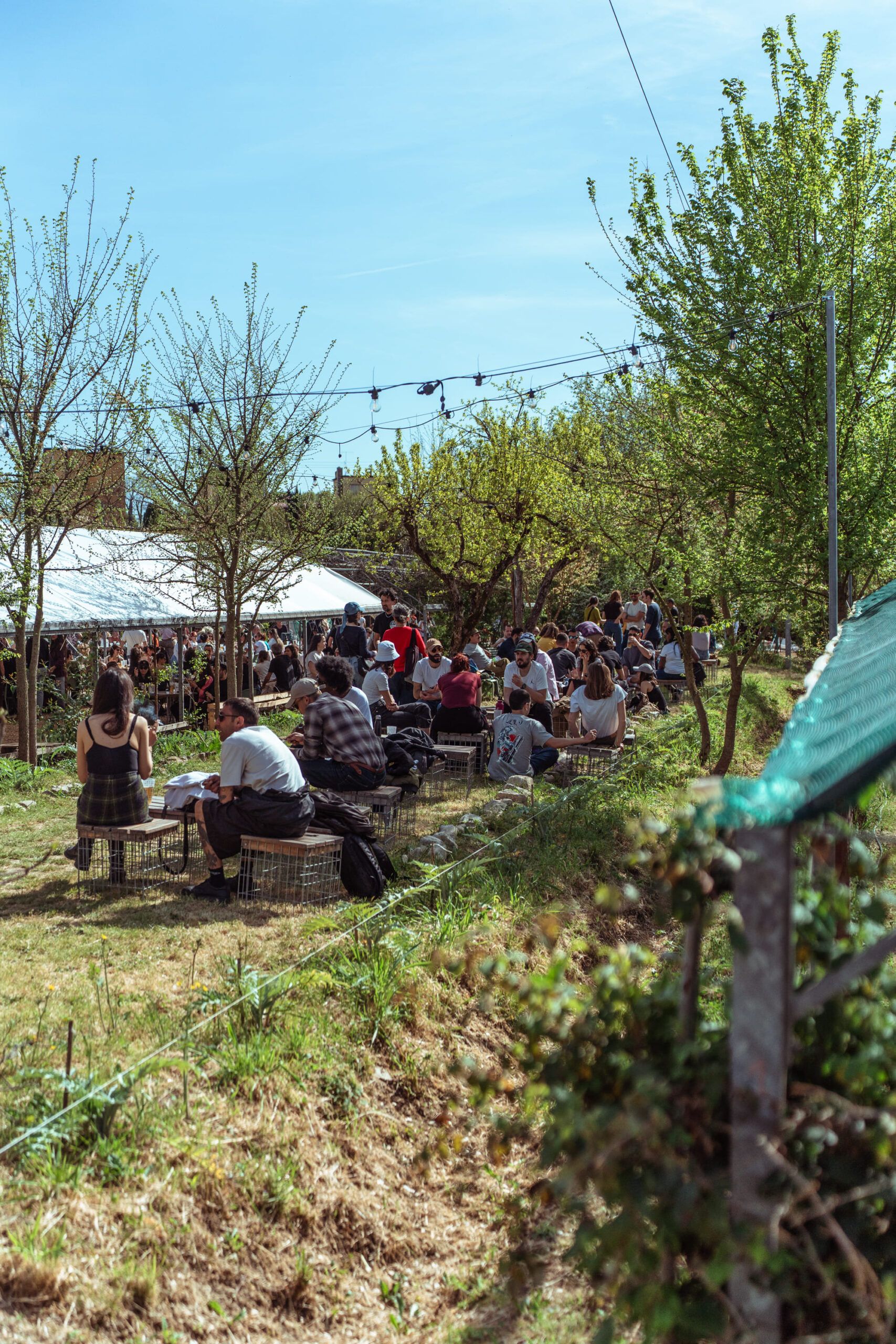 _DSC2970